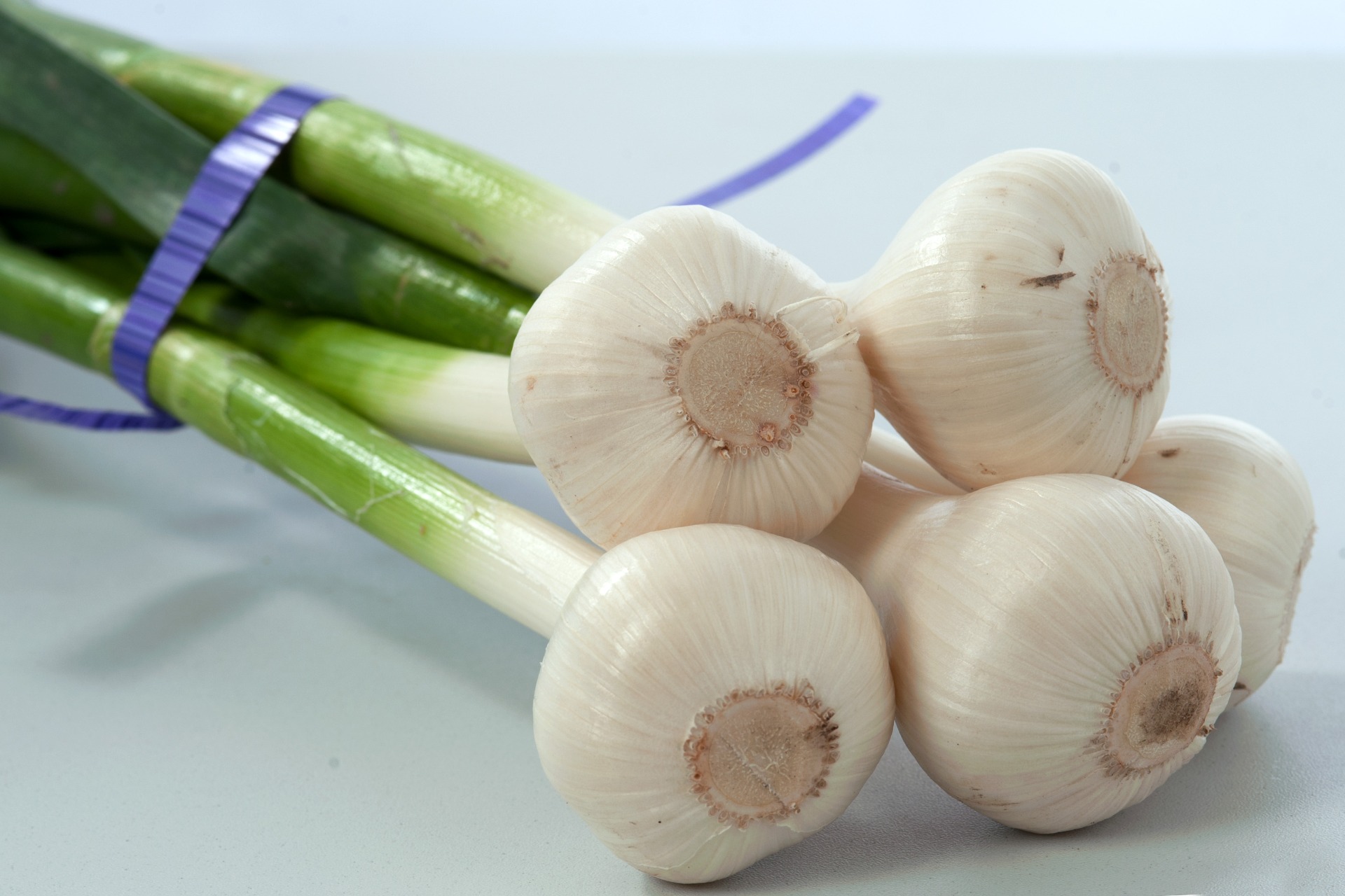 2018 - ČESNEK DUKÁT